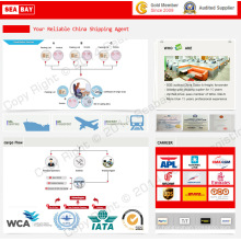 Transport maritime / fret maritime / expédition de la Chine vers l&#39;Europe du Nord (Finlande, Norvège, Suède, Danemark)